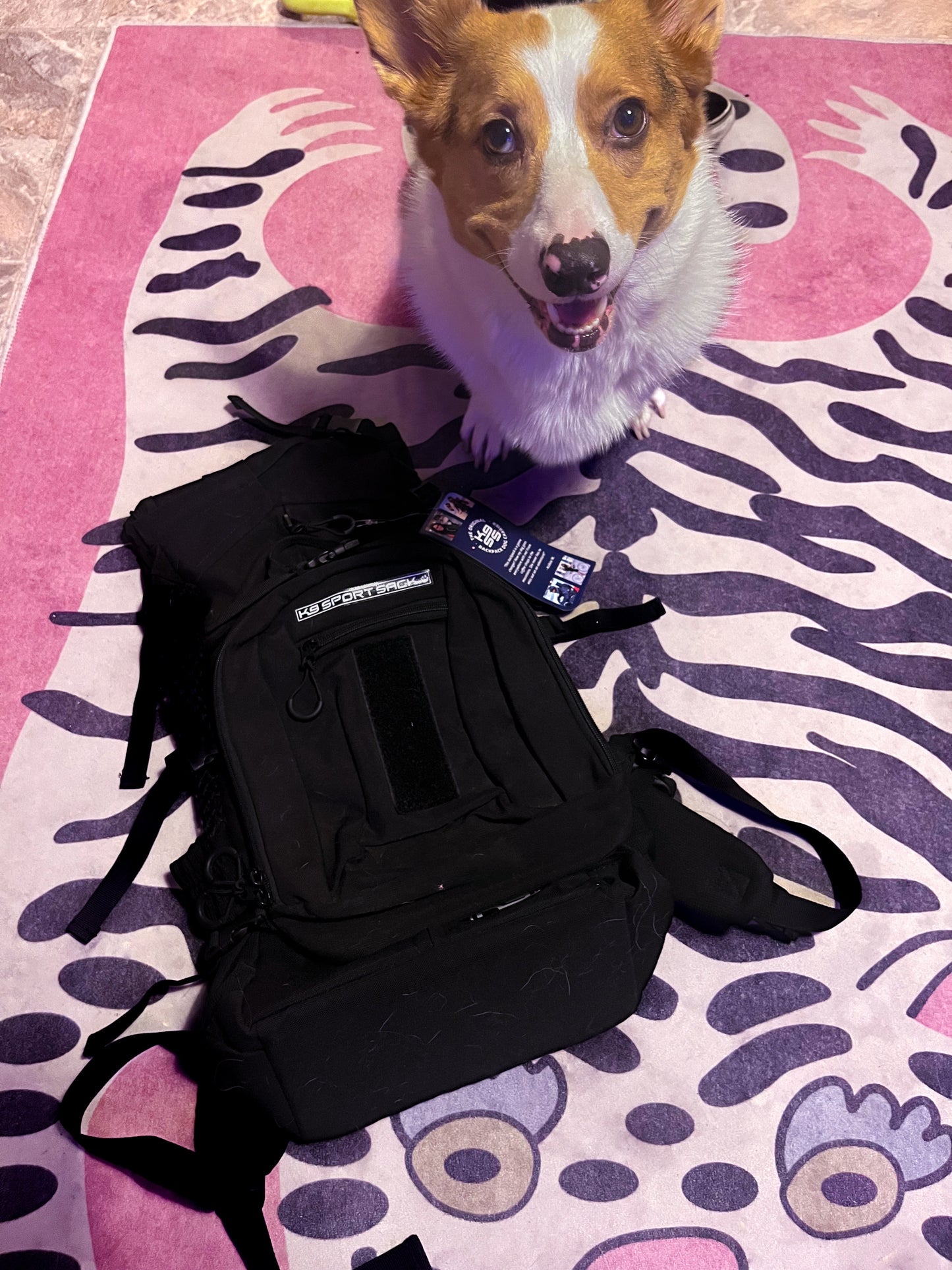 ♡ K9 sport sack - plus 2 ♡